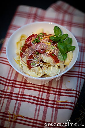 Five Cheeses ravioli with marinara souse Stock Photo