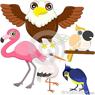 Five colorful cute birds Vector Illustration