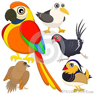 Five colorful cute birds Vector Illustration