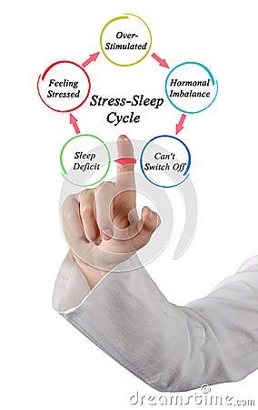 Components of Stress-Sleep Cycle Stock Photo