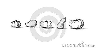 Five different pumpkins next to each other Stock Photo