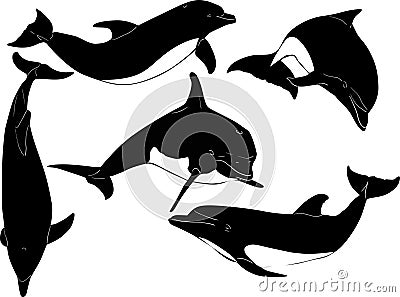 Five dolphins on white Vector Illustration