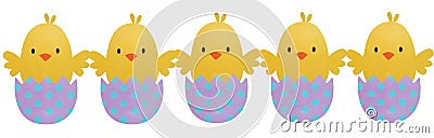 Five Easter Chick Hatching on isolated background Stock Photo