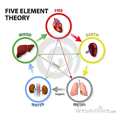 Five Element Theory Vector Illustration