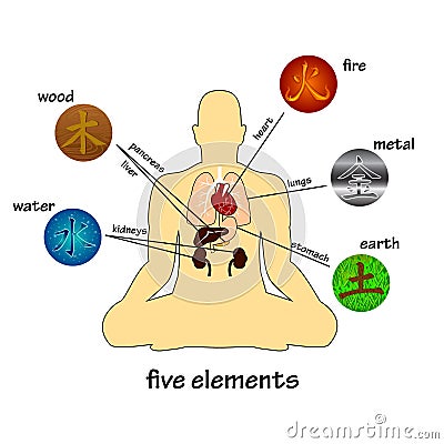 Five elements and human organs. Vector Illustration