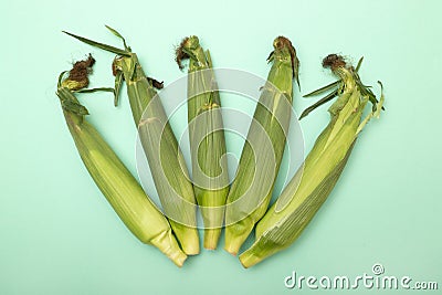 Five fresh corn cobs on a turquoise background Stock Photo