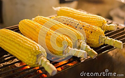 Five grilled corn on the cob at night market Stock Photo