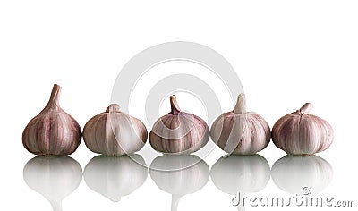 Five heads fresh garlic isolated on white background Stock Photo