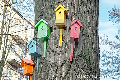 Five houses for the birds are on the trunk of a large tree. Nature conservation concept. Many multicolored nesting boxes hang on Stock Photo
