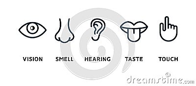 Five human senses vision eye, smell nose, hearing ear, touch hand, taste mouth and tongue. Line vector icons set Vector Illustration