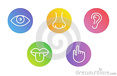 Five human senses vision eye, smell nose, hearing ear, touch hand, taste mouth and tongue. Line vector icons set Vector Illustration