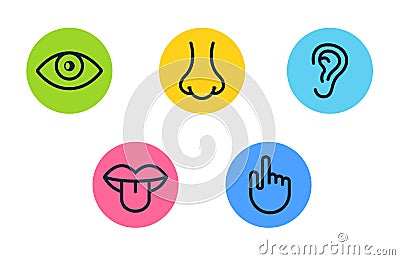 Five human senses vision eye, smell nose, hearing ear, touch hand, taste mouth and tongue. Line vector icons set Vector Illustration