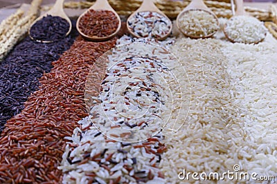 Five kinds of rice on wooden spoon Stock Photo