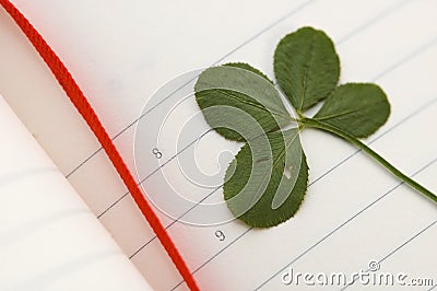 Five Leaf Clover and New Day. Stock Photo