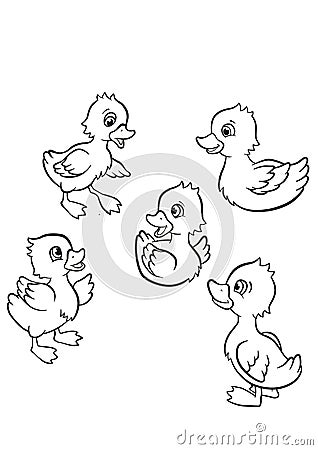 Five little cute ducklings swim on the lake and stand on the grass. Vector Illustration