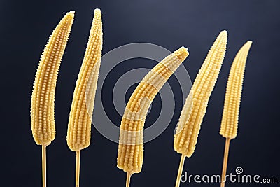 Five pickled corn on a fork close-up on a dark blue background. food and vegetables Stock Photo