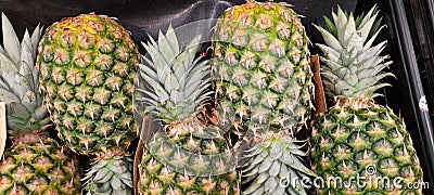 Five Pineapple isolated Stock Photo