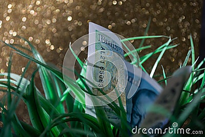 Five pounds into the nature Editorial Stock Photo