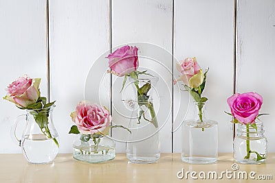 Five roses in separate glass vases Stock Photo