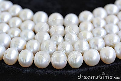 Five rows of natural pearl necklace on a black velvet Stock Photo