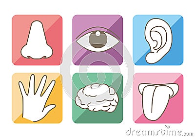 Five senses and brain image - Colorful icon set Vector Illustration
