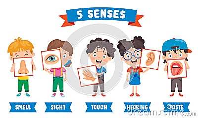 Five Senses Concept With Human Organs Vector Illustration