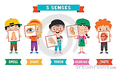 Five Senses Concept With Human Organs Vector Illustration