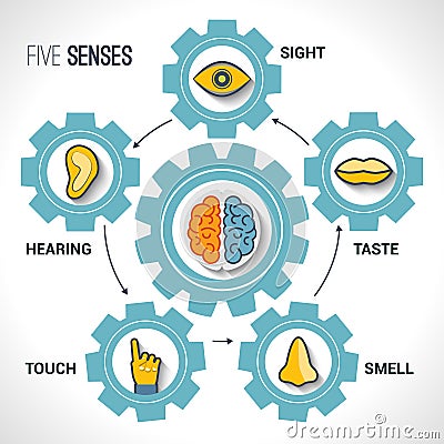 Five senses concept Vector Illustration