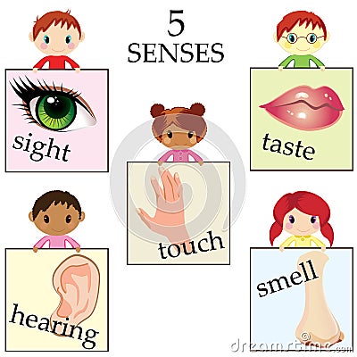 Five senses educational concept Vector Illustration