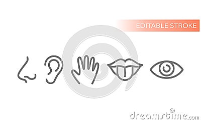 Five senses, human sensory organs icons Vector Illustration