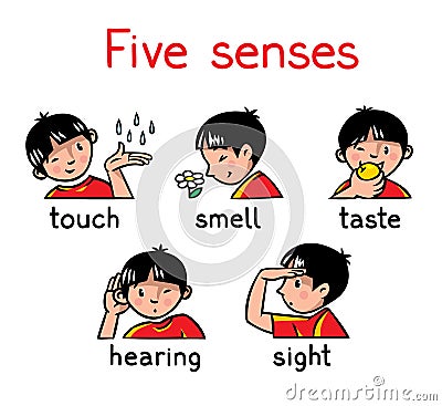 Five senses icon set Vector Illustration