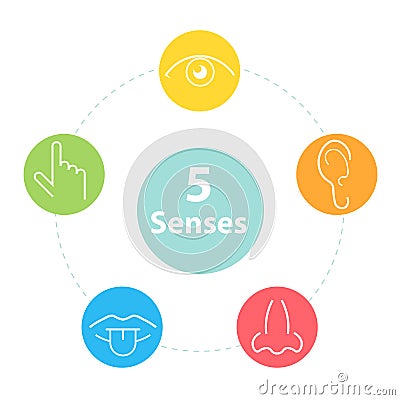 Five senses icons Vector Illustration