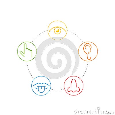 Five senses icons Vector Illustration