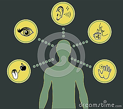 Five Senses Icons Vector Illustration