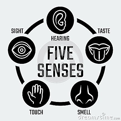 Five senses icons set Vector Illustration