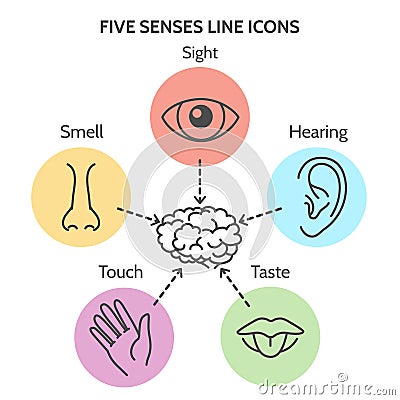 Five senses line icons Vector Illustration