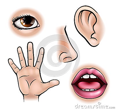 Five Senses Vector Illustration