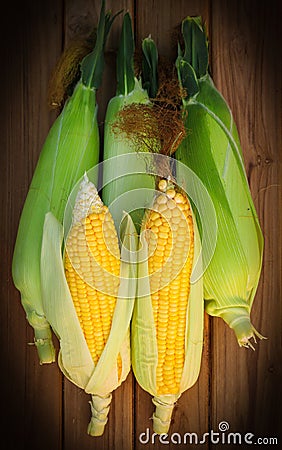 Five sweet corn on wood table Stock Photo