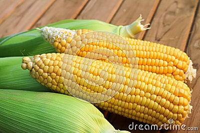 Five sweet corn on wood table Stock Photo