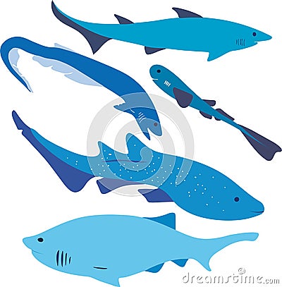 Five types of blue vector sharks Vector Illustration