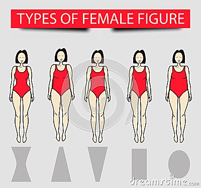 Five types of female figures, vector image Vector Illustration