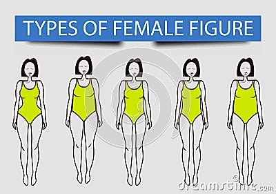 Five types of female figures, vector image Vector Illustration