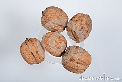 Five wallnuts Stock Photo