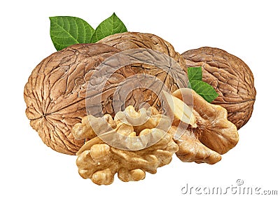 Walnut isolated closeup on white background with clipping path. Nut macro. Walnuts with leaf as package design element collection Stock Photo