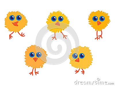 Five yellow little chicks with big blue eyes Vector Illustration