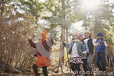 Five young children playing together in a forest, low angle view Stock Photo