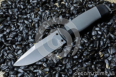 Fixed knife on black seed. Stock Photo