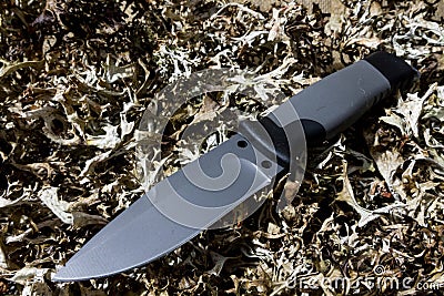 Fixed knife on dry grass. Cold teperature. Stock Photo