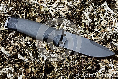 Fixed knife on dry grass. Diagonal position. Back side. Stock Photo