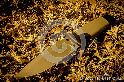 Fixed knife on dry grass. Warm teperature. Stock Photo